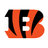 CIN logo